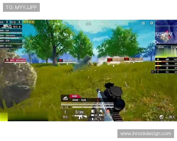 和平精英耐力排行榜揭晓RNG战队荣登第七名引发热议